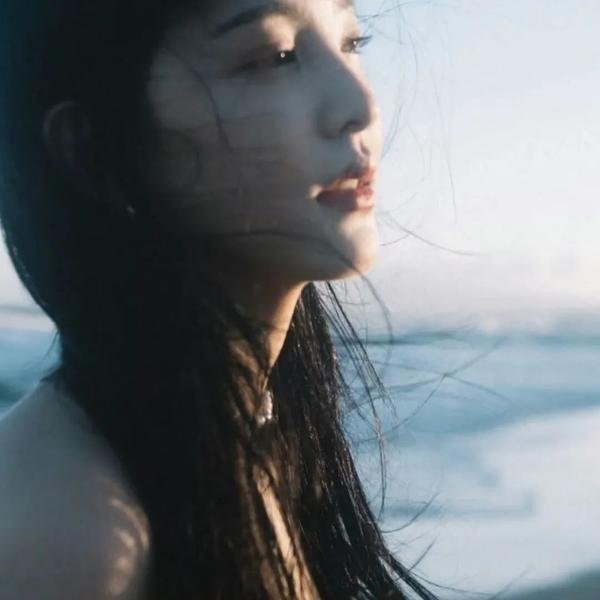鲨与鲸
